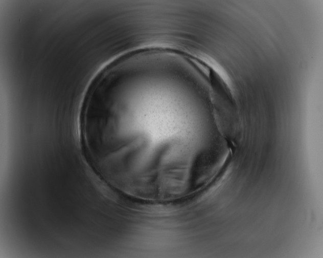 X0000093210980200710101323