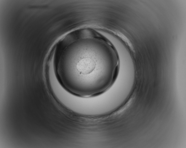 X0000093210981200710101323