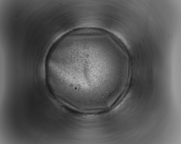 X0000093210982200710101323