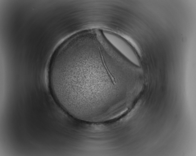 X0000093210983200710101323