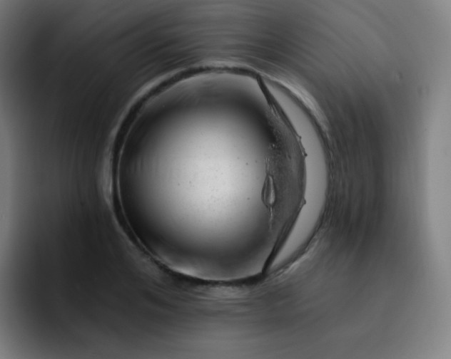 X0000093210984200710101323