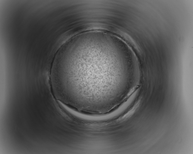 X0000093210985200710101323