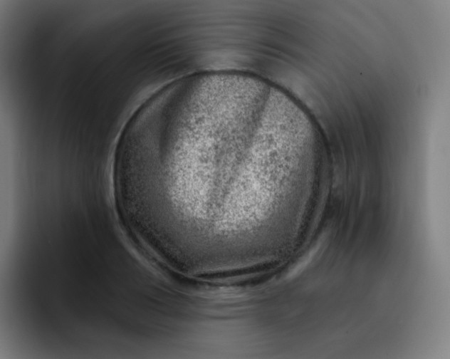 X0000093210986200710101323