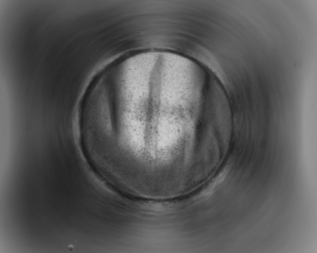 X0000093210987200710101323