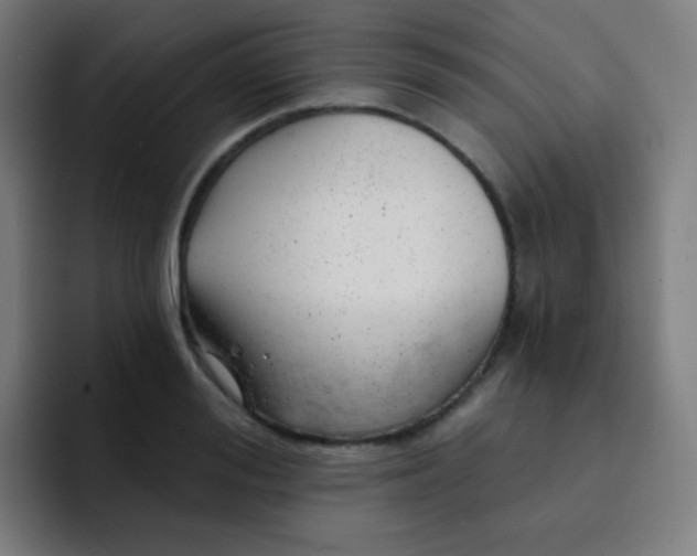 X0000093210988200710101323