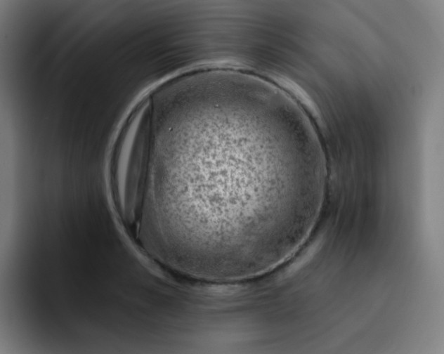 X0000093210989200710101323