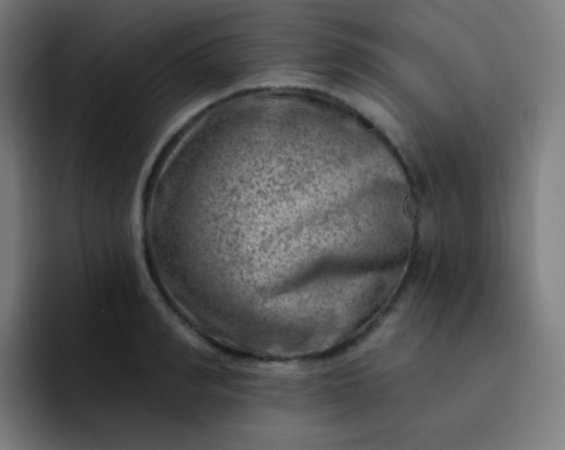 X0000093210990200710101323