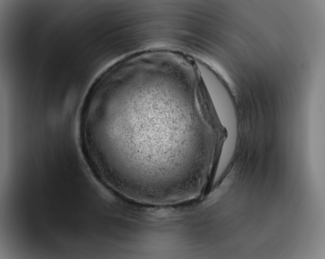 X0000093210991200710101323