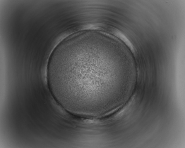 X0000093210994200710101323