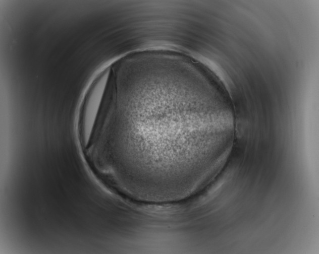 X0000093210995200710101323