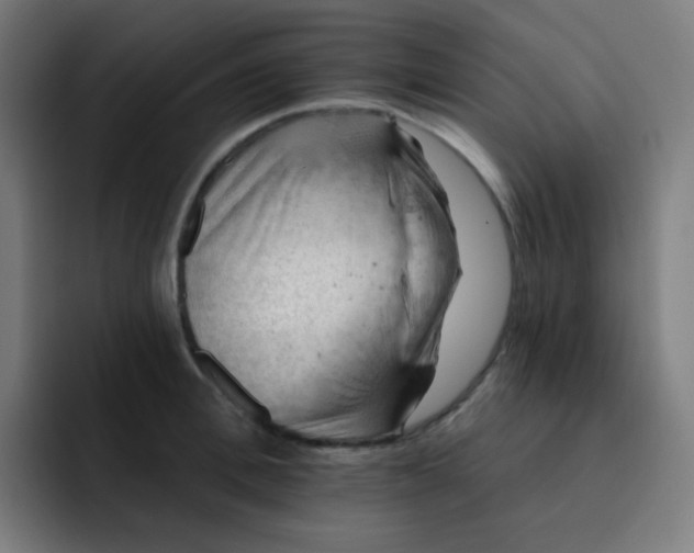 X0000093210996200710101323