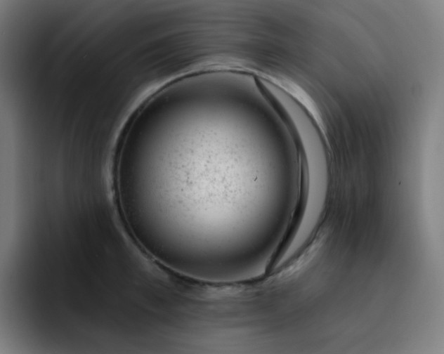 X0000093210997200710101323