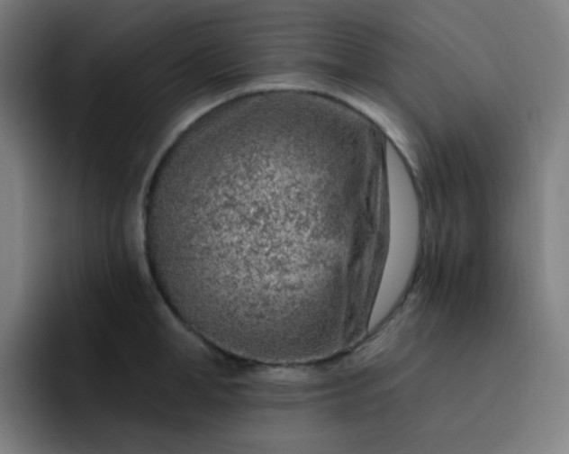 X0000093210998200710101323