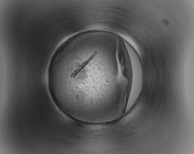 X0000093210999200710101323