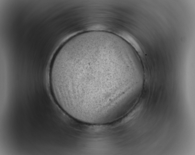 X0000093211000200710101323