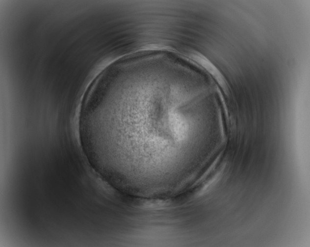 X0000093211002200710101323