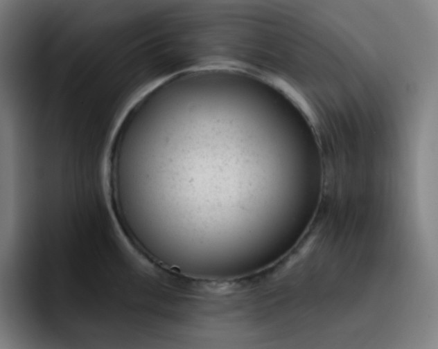 X0000093211003200710101323