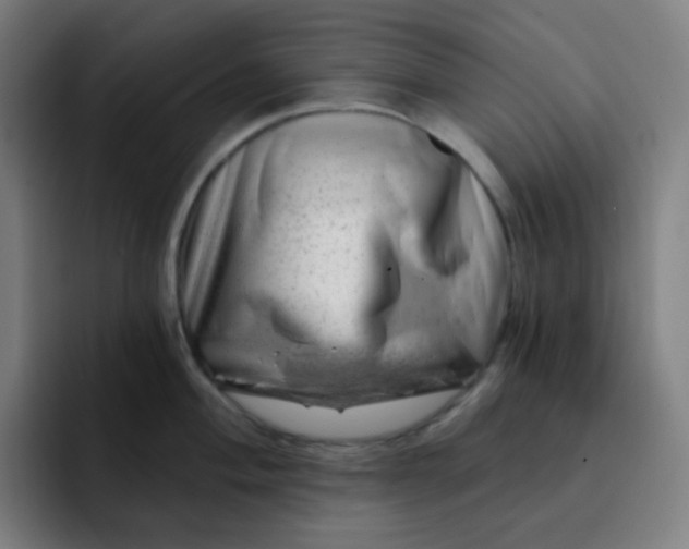 X0000093211004200710101323