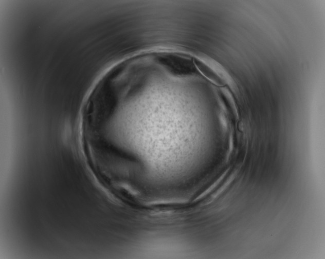 X0000093211006200710101323