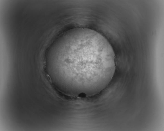 X0000093211009200710101322