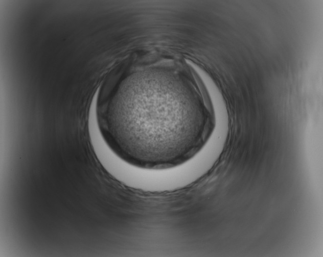 X0000093211010200710101322