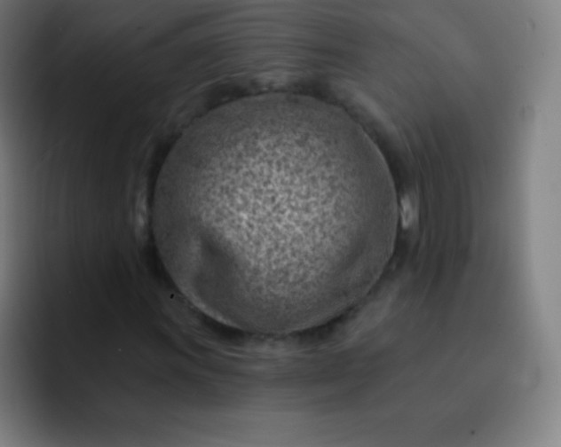 X0000093211011200710101322