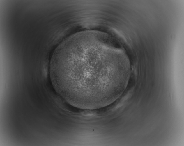 X0000093211012200710101322