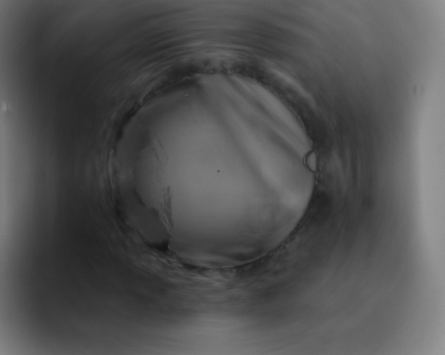 X0000093211013200710101322