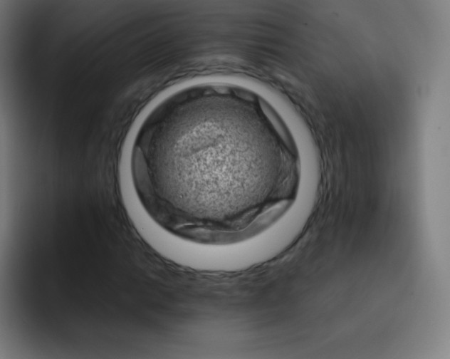 X0000093211014200710101322