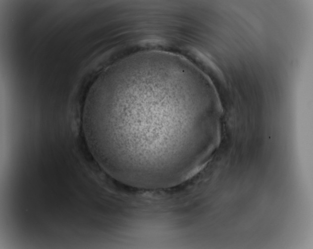 X0000093211015200710101322