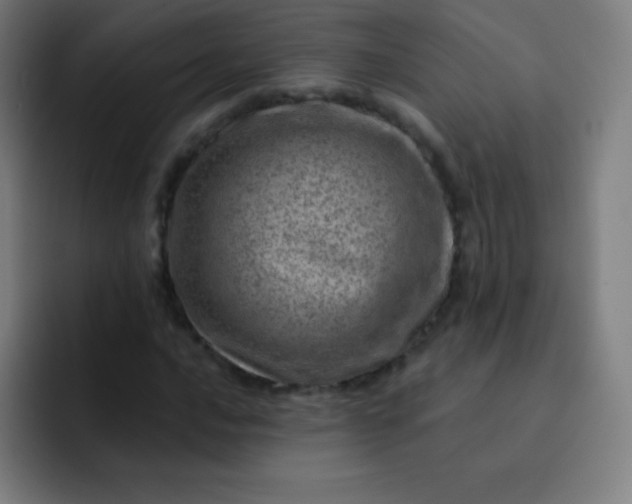 X0000093211016200710101322