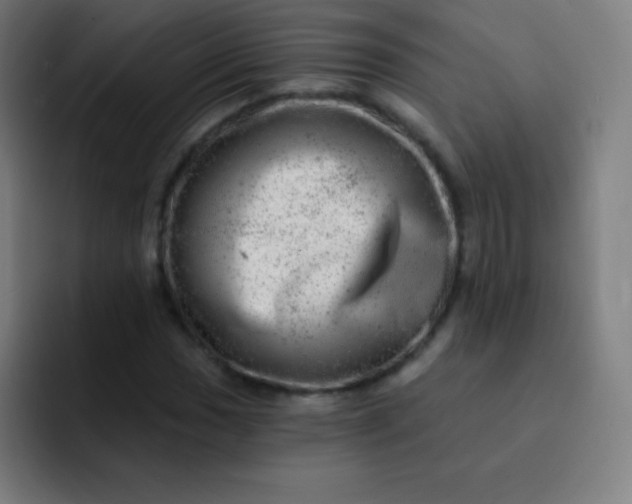 X0000093211017200710101322