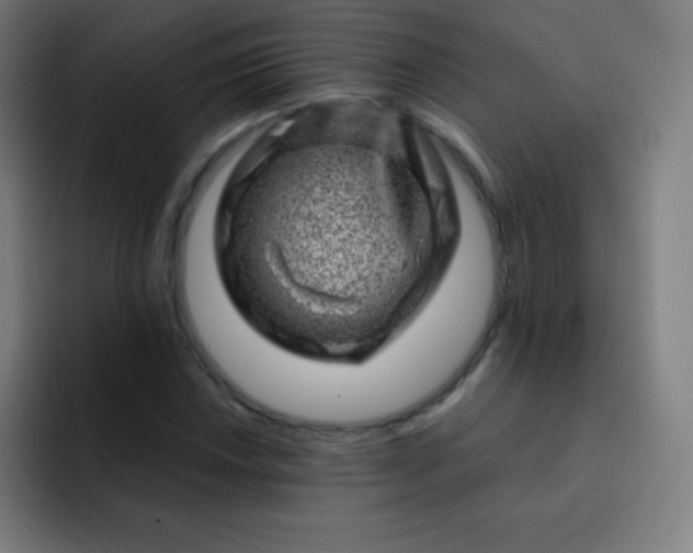 X0000093211018200710101322