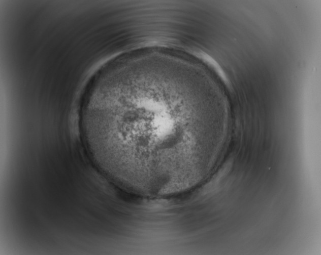 X0000093211019200710101322