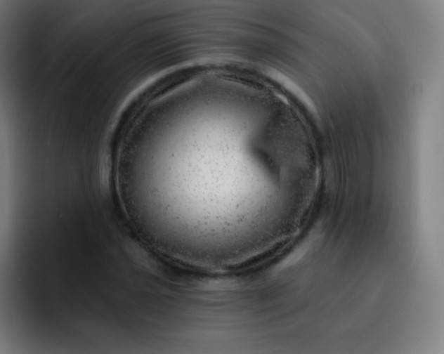 X0000093211021200710101322