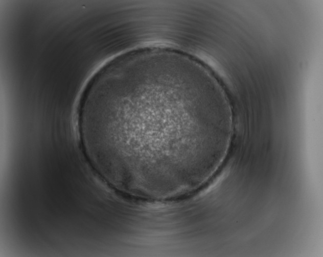 X0000093211022200710101322