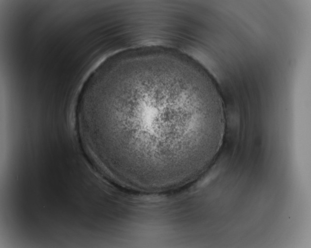 X0000093211023200710101322