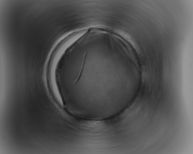 X0000093211024200710101322