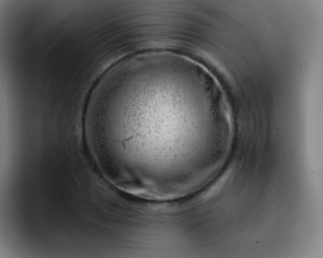 X0000093211025200710101322