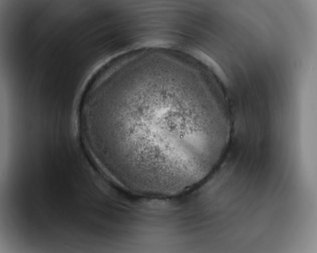 X0000093211027200710101322