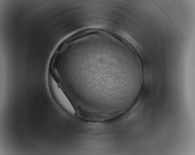 X0000093211028200710101322