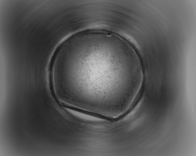 X0000093211029200710101322