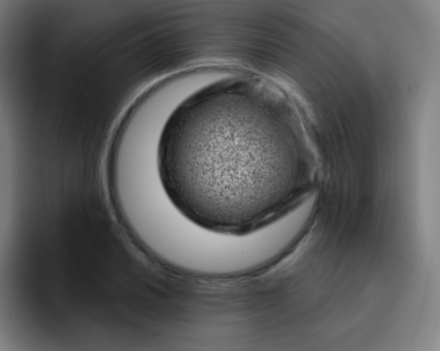 X0000093211030200710101322