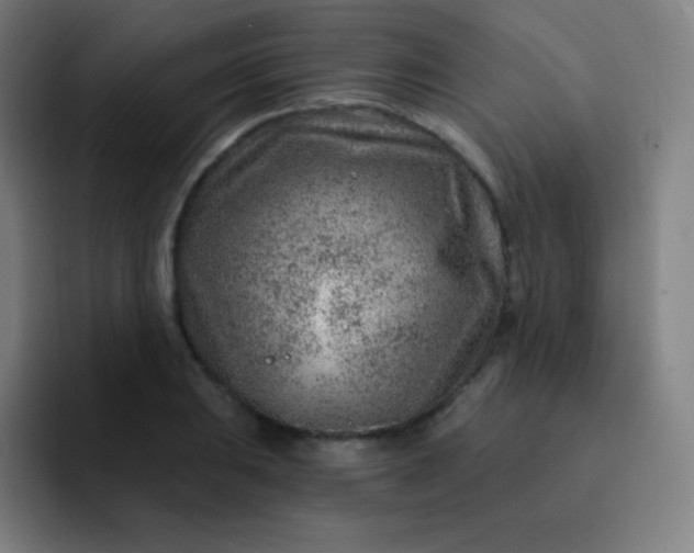 X0000093211031200710101322