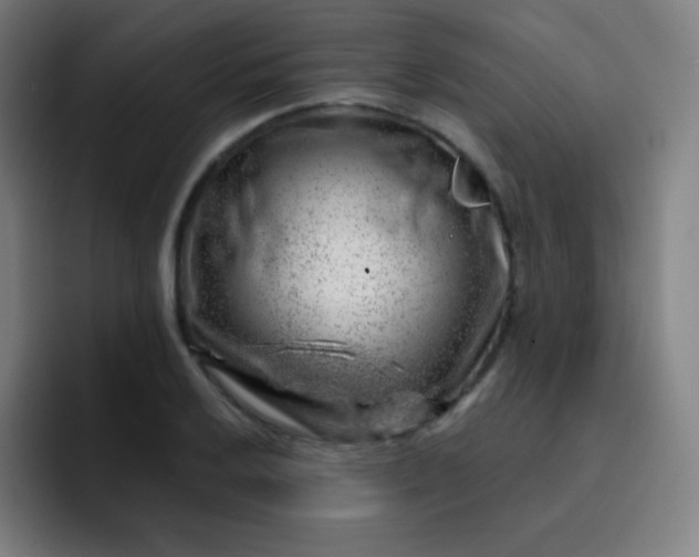 X0000093211032200710101322