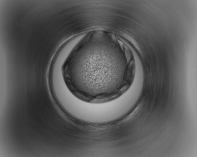 X0000093211034200710101322