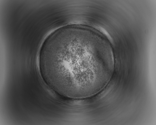 X0000093211035200710101322