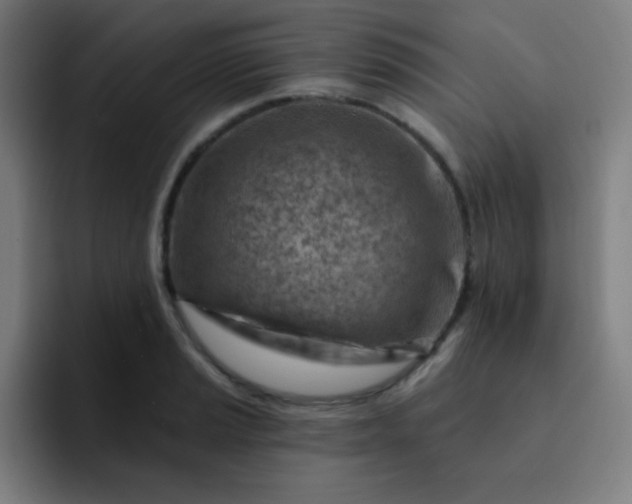 X0000093211037200710101322