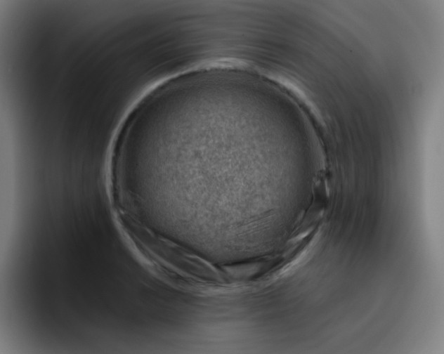 X0000093211038200710101322