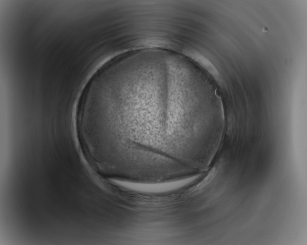 X0000093211039200710101322